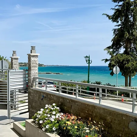 Blue Horizon 7 *